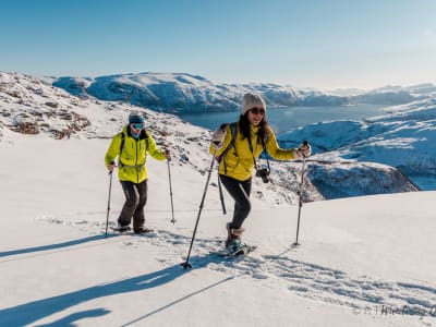 Schneeschuhwanderung in der arktischen Wildnis ab Tromsø