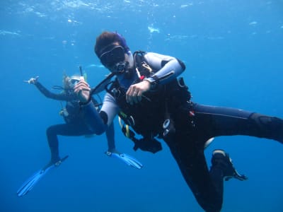 PADI Open Water course in Cape Town