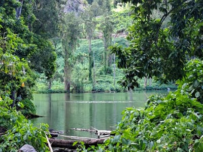 Guided Van Tour of the Cirque of Salazie, Reunion Island