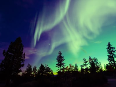 Safari en moto de nieve por la aurora boreal cerca de Rovaniemi