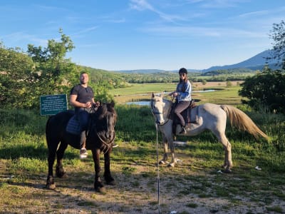Discover Horseback Riding in Knin near Krka National Park