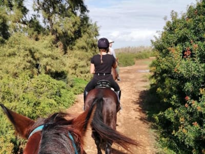 Horseback riding from Felanitx in the countryside of Mallorca