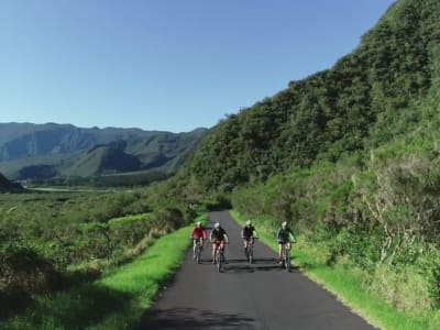 Excursion VTT électrique dans les forêts de Bébour et de Bélouve, La Réunion