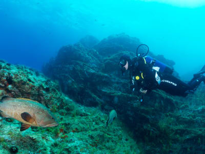 Federal level 1 diving course in Cerbere, Pyrénées-Orientales