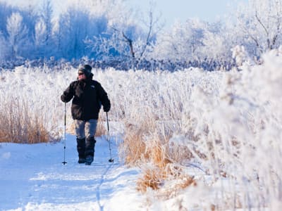 Schneeschuhverleih im Parc national des Îles-de-Boucherville, Montréal