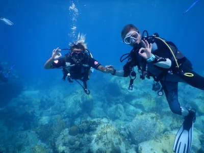 First Scuba Dive for Children in Cousteau Reserve, Guadeloupe