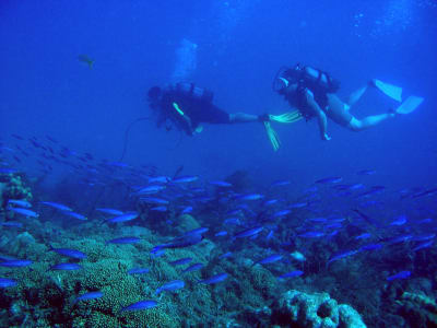 First scuba dive in Le Marin, Martinique