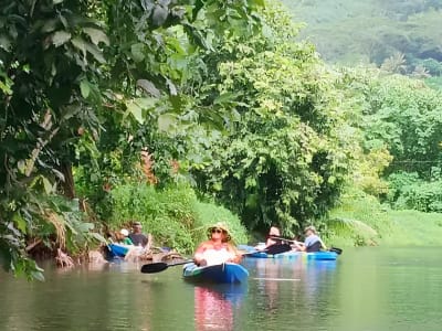 Kayak Excursion on the Faaroa River in Raiatea