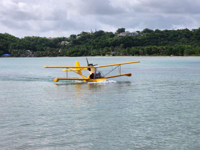 Wasserflugzeug-Rundflug über Guadeloupe ab Le Gosier