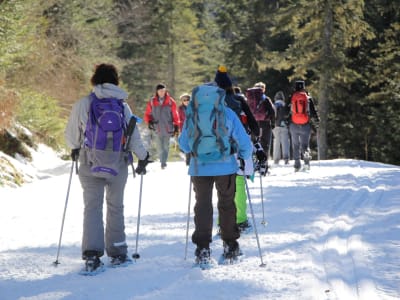 Snowshoeing in the Viscos ridges, Luz Ardiden