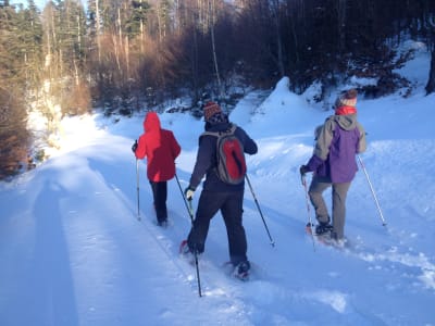 Excursión nocturna con raquetas de nieve al Donon, Vosgos