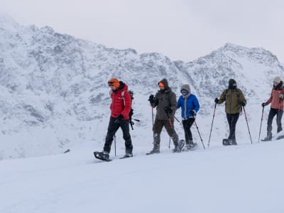 Guided Snowshoeing from Kabelvåg near Svolvær in Lofoten