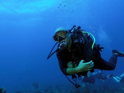 Taucherische Entdeckung in Saint-François, Guadeloupe