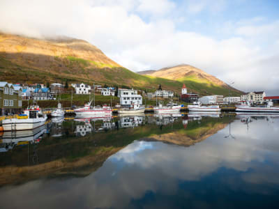 Road Trip around the Troll Peninsula from Akureyri