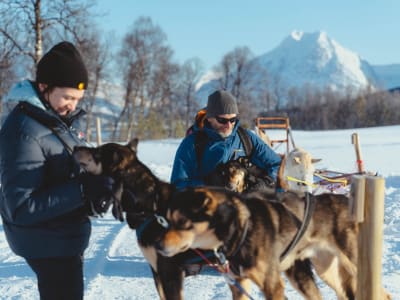 Trineo de perros y experiencia con huskies en coche cerca de los Alpes de Lyngen desde Tromsø