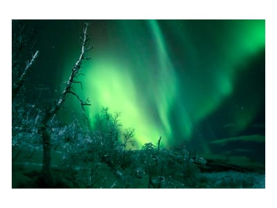 Authentique cuisine de rue suédoise et poursuite des aurores boréales depuis Kiruna