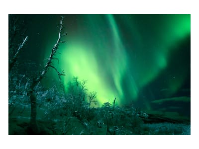 Auténtica comida callejera sueca y persecución de auroras boreales desde Kiruna