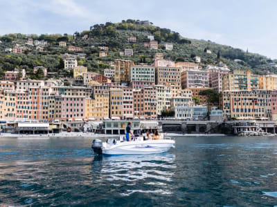 Private Boat Tour and Snorkelling from Recco to Portofino