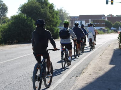 Visite guidée en vélo de Comporta au port de Carrasqueira, Alentejo