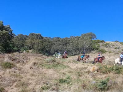 Montar a caballo en el Piton Maïdo, Isla Reunión