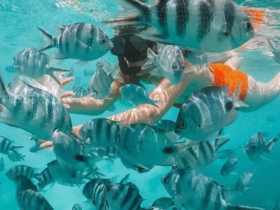 Balade en bateau à fond de verre avec snorkeling dans le Parc marin de Blue Bay, Île Maurice