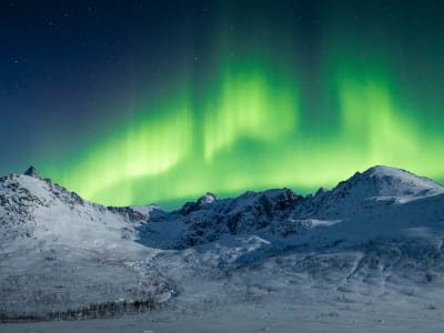 Tour des aurores boréales en minibus à Tromsø