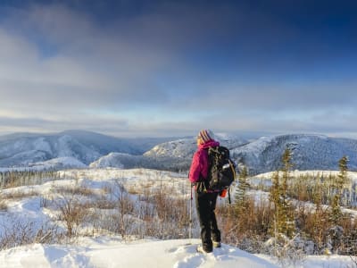 Senderismo invernal guiado en el Parque Nacional Grands-Jardins de Charlevoix