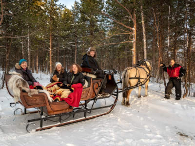 Promenade en traîneau à cheval et dîner traditionnel dans l'Arctique à Alta