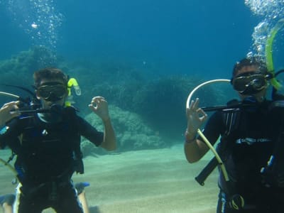 Descubra el submarinismo en un arrecife de la playa de Marathias, en Corfú