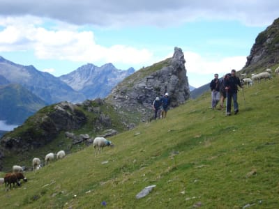 Hiking in the Cirque de Troumouse near Gavarnie