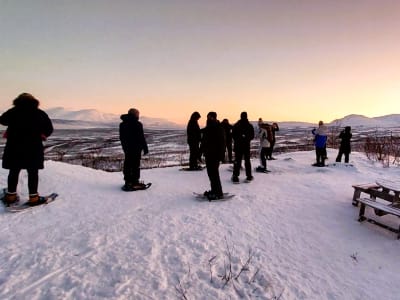 Randonnée en raquettes dans le parc national d'Abisko au départ d'Abisko 