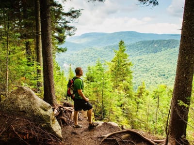 Randonnée dans le parc national de la Jacques-Cartier au départ de Québec