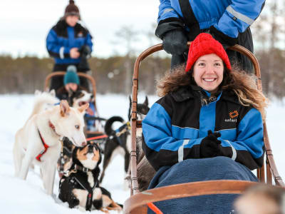 Excursion découverte de la conduite d'un traîneau à chiens à Ylläs