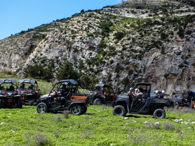 Safari en quad ou en buggy de Coral Bay à la forêt d'Akamas et au port de Latchi