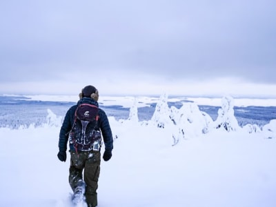 Excursion guidée en raquettes dans le parc national de Riisitunturi au départ de Rovaniemi