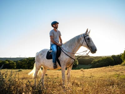 Balade à cheval pour débutant à Knin, près du parc national de Krka