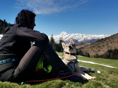 Cani-hiking in the Lesponne Valley near La Mongie, Pyrenees