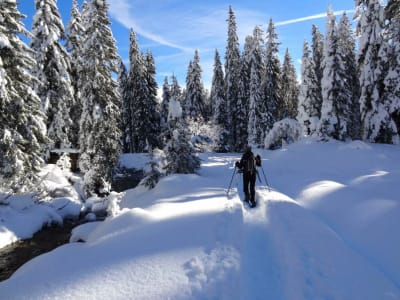 Excursiones con raquetas de nieve en Madonna di Campiglio