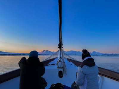 Croisière dans les fjords polaires depuis Tromsø