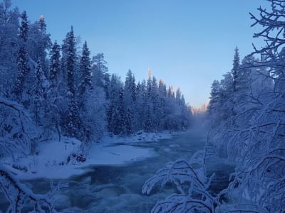 Excursión con raquetas de nieve en el Parque Nacional de Oulanka