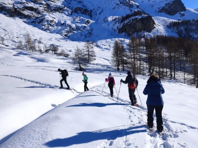 Excursiones con Raquetas de Nieve en Val d'Isère