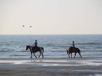 Randonnée à cheval et baignade à Zakynthos