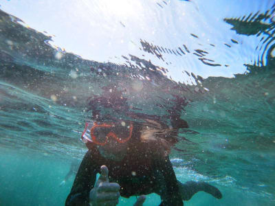 Coasteering with snorkeling in Praia da Ingrina near Sagres in the Natural Park of the Vicentine Coast, Algarve