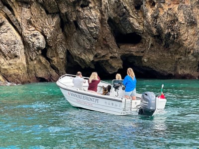 Excursión en barco a Portinho da Arrábida desde Sesimbra