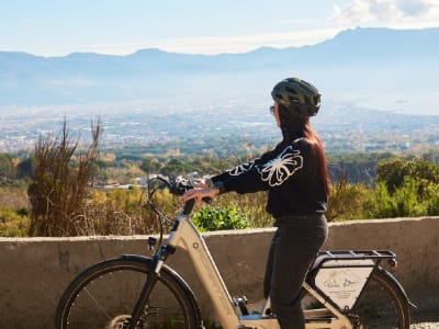 Paseo guiado en E-Bike alrededor del Vesubio desde Pompeya, cerca de Salerno