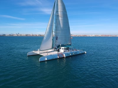 Excursión en Catamarán por la Bahía de Valencia