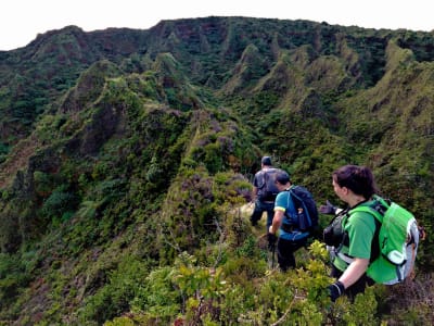 Randonnée guidée à Sete Cidades près de Ponta Delgada, Açores