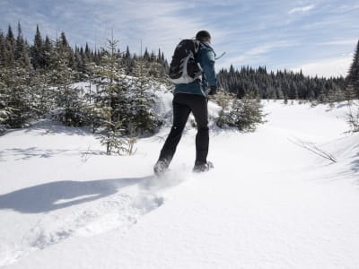 Excursion en raquettes dans les Laurentides, à Val-des-Lacs