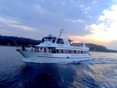 Dinner, dolphins, and sunset cruise starting from the Riva in Pula