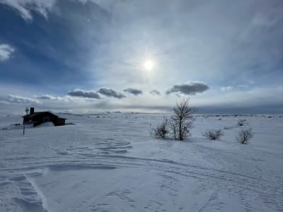 Excursión con raquetas de nieve en el Parque Nacional de Fulufjället, Condado de Dalarna